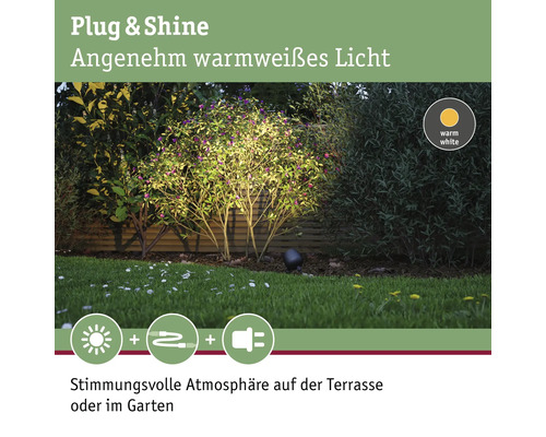 Projecteur de jardin Plug and Shine éclairant un buisson avec une lumière blanche chaude.