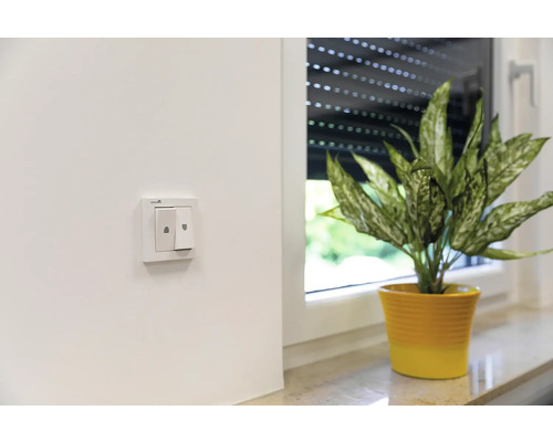 Photo d''intérieur avec interrupteur et plante en pot sur le rebord de la fenêtre