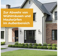 Abwehr von Wühlmäusen und Maulwürfen im Aussenbereich