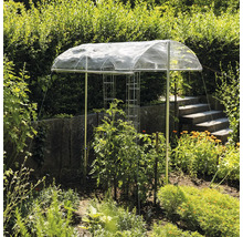 Jardin avec plantes, tuteurs à tomates et un toit de protection des plantes.