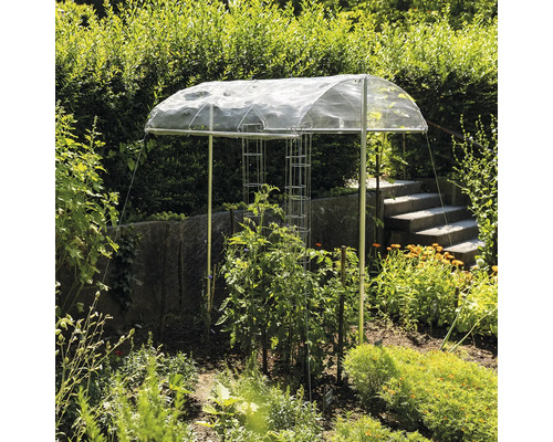 Jardin avec plantes, tuteurs à tomates et un toit de protection des plantes.
