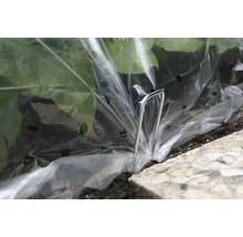Gartenpflanze unter Folie mit Folienspanner
