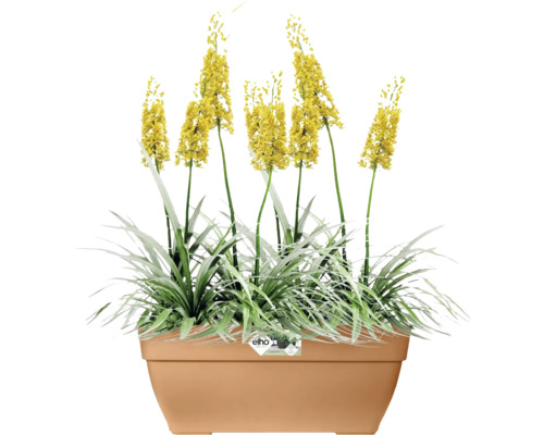 Blumenkasten mit gelben Blüten und grünen Blättern