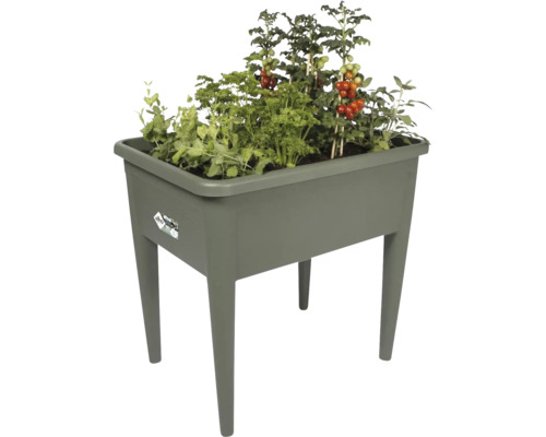 Jardinière surélevée en plastique avec différentes plantes telles que tomates, persil et pois.