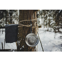 Metallpfanne, die mit Seil an einem Baum befestigt ist, im winterlichen Wald.