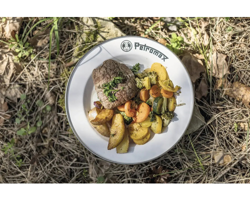 Assiette avec steak, pommes de terre et légumes par terre
