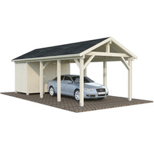 Carport avec abri de jardin et voiture