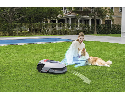 Szene mit einem Rasenmähroboter, einer Frau und einem Hund auf einer Rasenfläche
