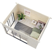 Abri de jardin en bois avec lit, tapis, plante et fenêtres