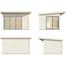 Vues différentes d''une cabane de jardin avec toit monopente et porte coulissante