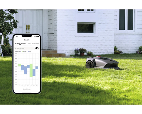 Smartphone mit Rasenmähroboter-App und Rasenmähroboter im Garten