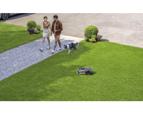 Ein Rasenmäherroboter mäht den Rasen, während ein Paar mit einem Hund spazieren geht.