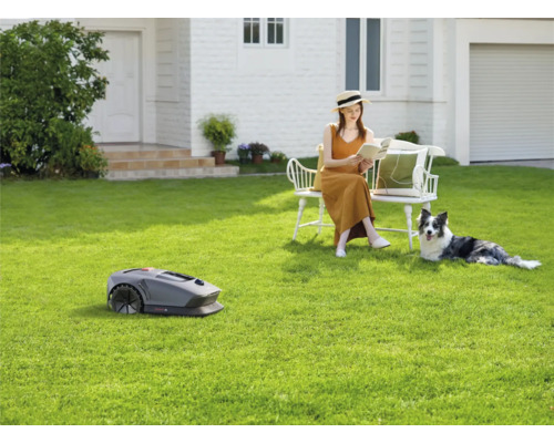 Szene mit Rasenmähroboter, Frau auf Bank mit Buch und Hund im Garten