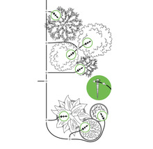 Illustration eines Bewässerungssystems für Pflanzen und Bäume