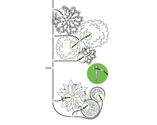 Illustration eines Bewässerungssystems für Pflanzen und Bäume