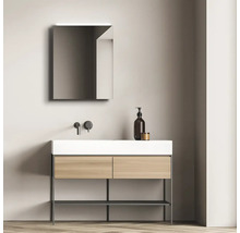 Spiegelschrank DSK Aluminio 50 x 13,1 x 60 cm alufarben 1-türig LED IP 24