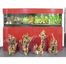 Aquariumkombination mit Dekoration und vier Wurzeln
