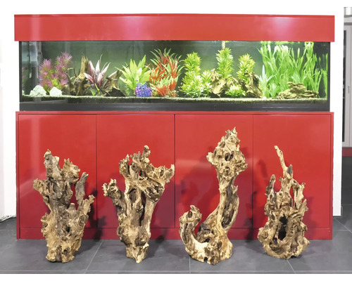Combinaison d''aquarium avec décoration et quatre racines