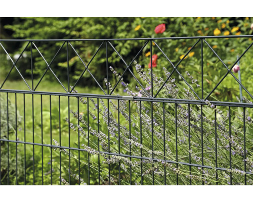 Clôture métallique avec structure en fil de fer et plantes dans le jardin