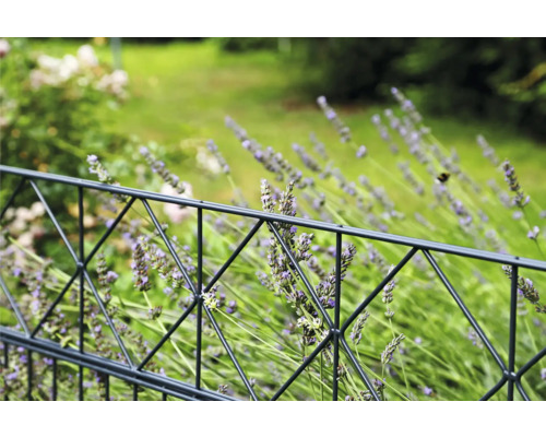 Clôture de jardin devant un parterre de lavande