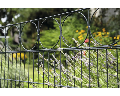 Clôture métallique avec motif circulaire et plantes fleuries