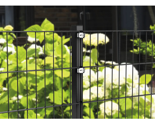 Panneau rigide double fil ALBERTS type 6/5/6 200 x 100 cm RAL 9005 noir mat Clôture en treillis soudé avec poteaux et clips de fixation