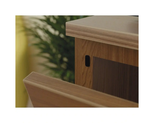 Detailansicht eines Holzmöbels mit geöffneter Tür