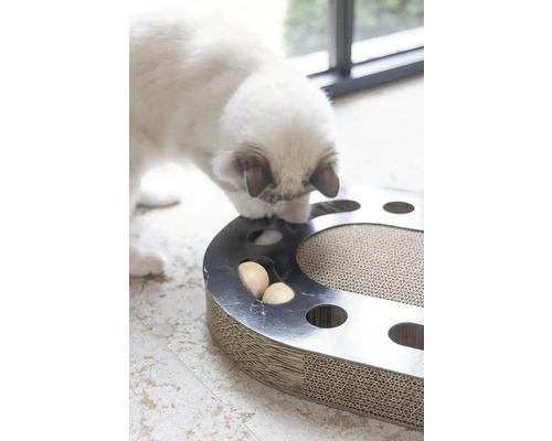 Chat jouant avec un jouet d''intelligence avec griffoir