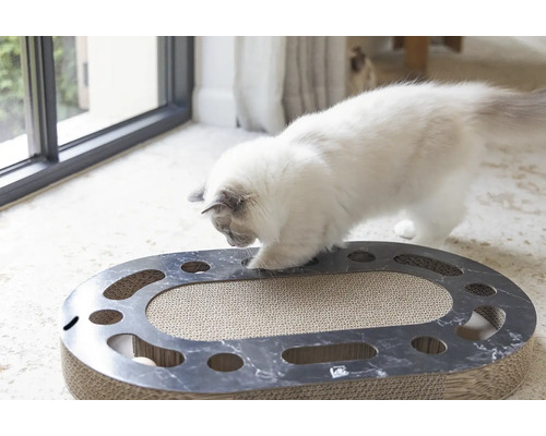 Chat jouant avec un grattoir et un jouet à balle de forme ovale