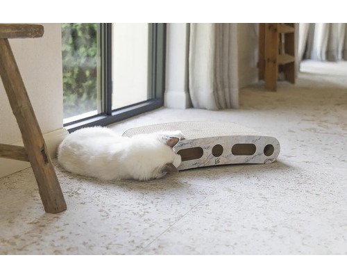 Chat jouant avec un griffoir dans le salon.