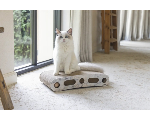 Chat assis sur un griffoir pour chat avec plusieurs trous