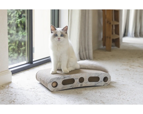 Chat assis sur un griffoir pour chats
