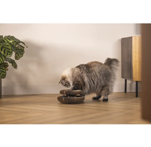 Eine Katze spielt mit einem interaktiven Katzenspielzeug im Innenbereich.