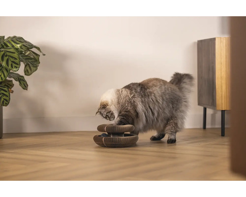 Un chat joue avec un jouet interactif pour chat à l''intérieur.