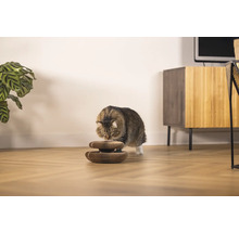 Katze untersucht einen Katzenkratzbaum aus Pappe in einem Wohnzimmer.