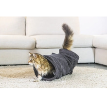 Katze in einem Katzentunnel auf einem Teppich vor einem Sofa