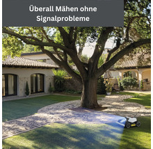 Rasenmähroboter mäht Rasen unter Baum im Garten eines Wohnhauses.