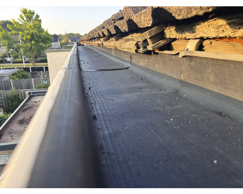 Gouttière avec pare-feuilles