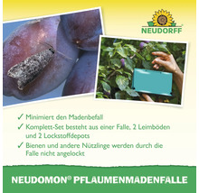 Neudorff Pflaumenmadenfalle zur Minimierung des Madenbefalls