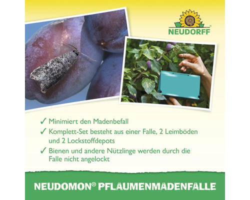 Neudorff Pflaumenmadenfalle zur Minimierung des Madenbefalls