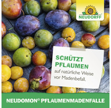 Neudorff Logo. Pflaumen mit Hinweis auf Neudomon Pflaumenmadenfalle, die auf natürliche Weise vor Madenbefall schützt