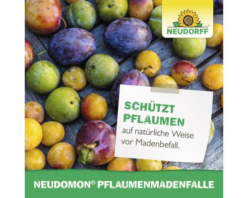 Neudorff Logo. Pflaumen mit Hinweis auf Neudomon Pflaumenmadenfalle, die auf natürliche Weise vor Madenbefall schützt