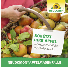 Korb mit Äpfeln und Hinweis zum Schutz vor Madenbefall