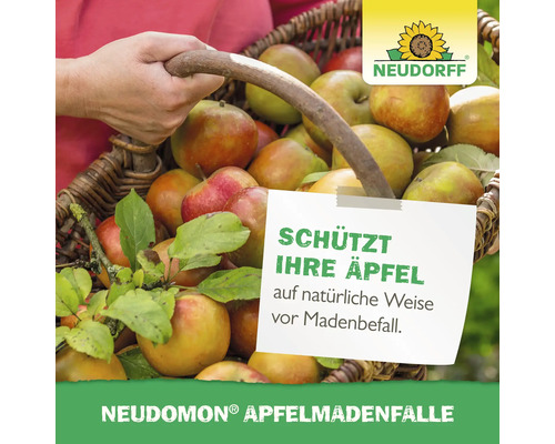 Panier avec des pommes et indication pour la protection contre les vers