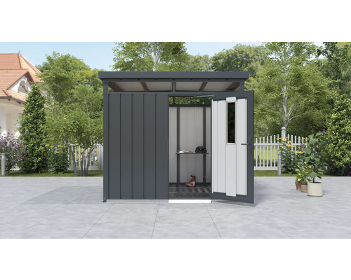 Abri de jardin avec porte ouverte, étagère et outils de jardin