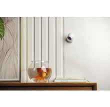 Innenaufnahme mit einer Überwachungskamera, einem Goldfischglas und dekorativen Elementen auf einem Holzregal.