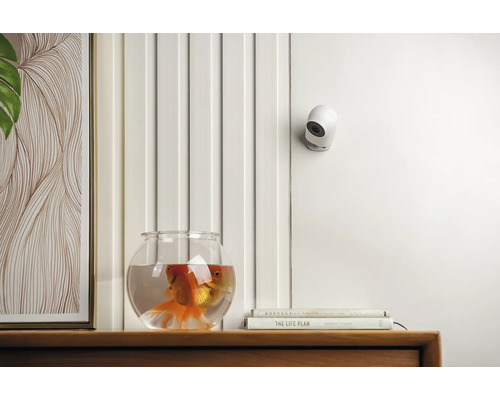 Innenaufnahme mit einer Überwachungskamera, einem Goldfischglas und dekorativen Elementen auf einem Holzregal.