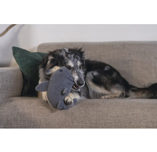 Ein Hund liegt auf einem Sofa und spielt mit einem Haifisch-Stofftier.