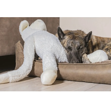 Schlafender Hund mit Plüschtier im Hundebett