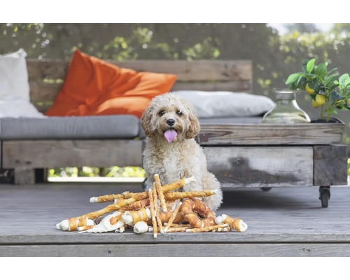 Chien assis devant une sélection de friandises pour chiens à l''extérieur